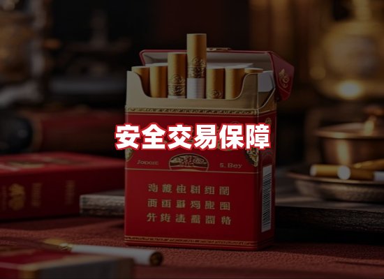 专业团队